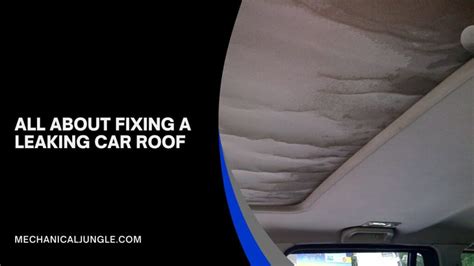 car roof leak repair|Water Leaking Into Your Car From Roof (Causes